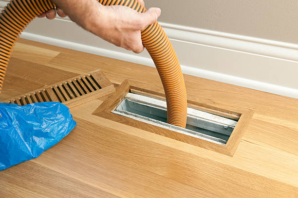 Best HVAC Duct Inspection Services  in Dickinson, ND